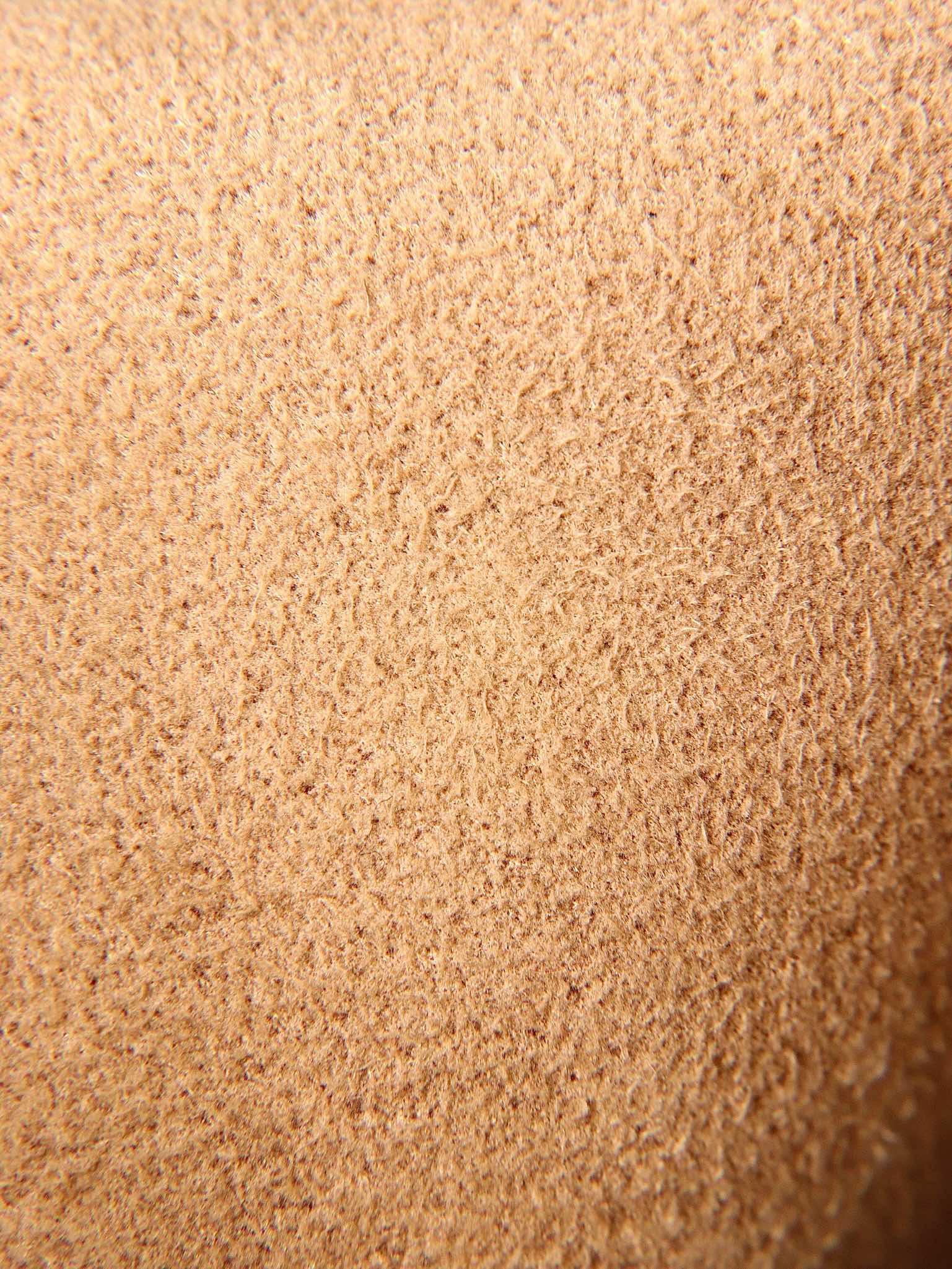 1696488893.9067fBDzqmnFekwsxc1684910659568_2.jpg