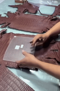 1744049769.4469KeaKJBnGIj5   1.gif