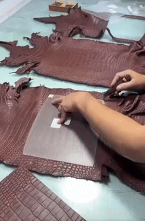 1744049769.452YstoSdmhXY5   3.gif